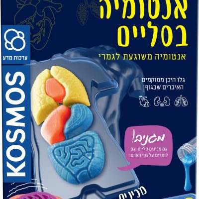 אנטומיה בסליים